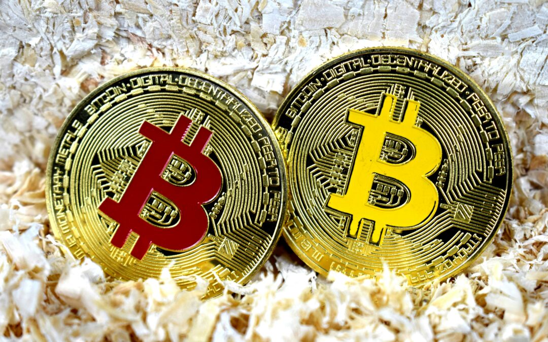 How to start a bitcoin casino